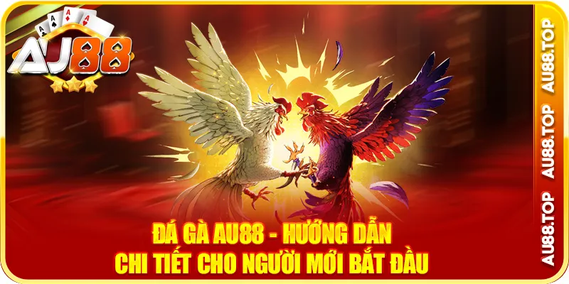 Mẹo cá cược đá gà au88 hiệu quả